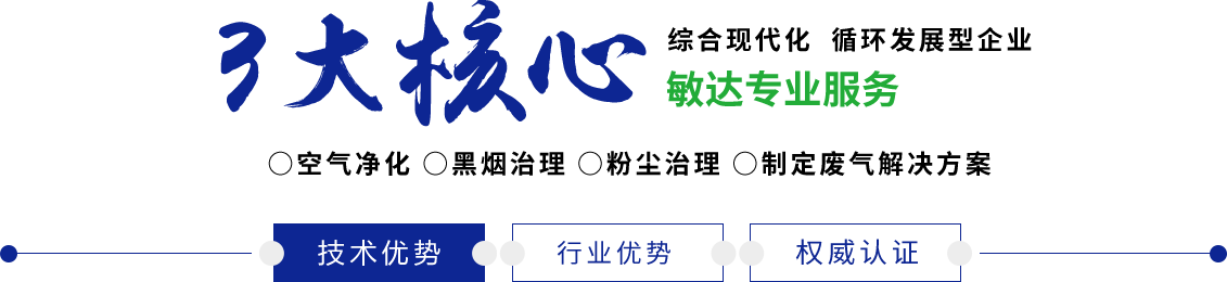 哈哈哈哈哈啊啊啊啊鸡巴干死我在线看敏达环保科技（嘉兴）有限公司